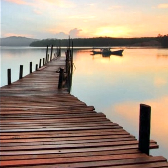 Meet your Posher, Tina - Picture 2 of 3